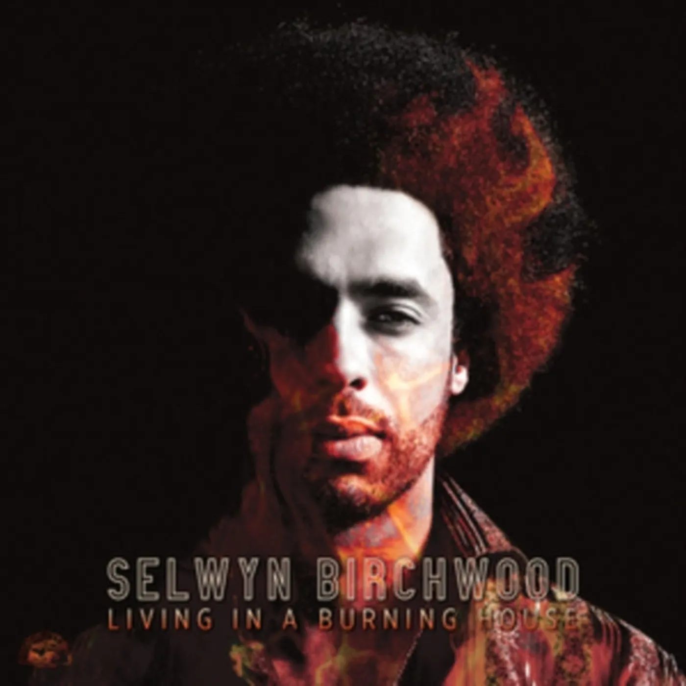 Selwyn Birchwood LP - Living In A Burning House (Vinyl)