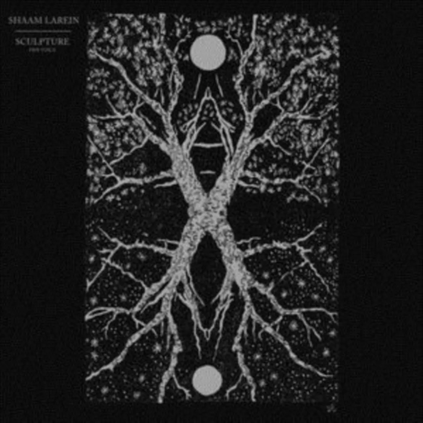 Shaam Larein LP - Sculpture (Vinyl)