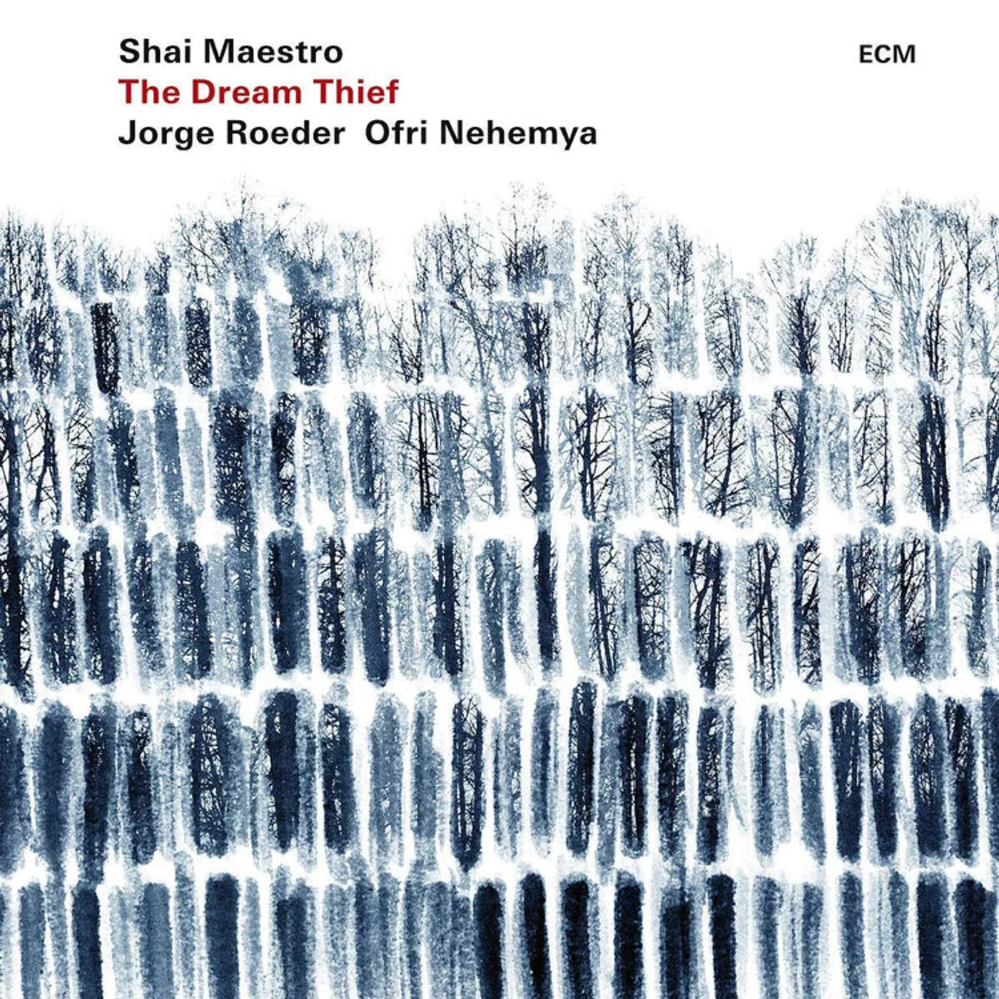 Shai Maestro LP - Dream Thief The (Vinyl)