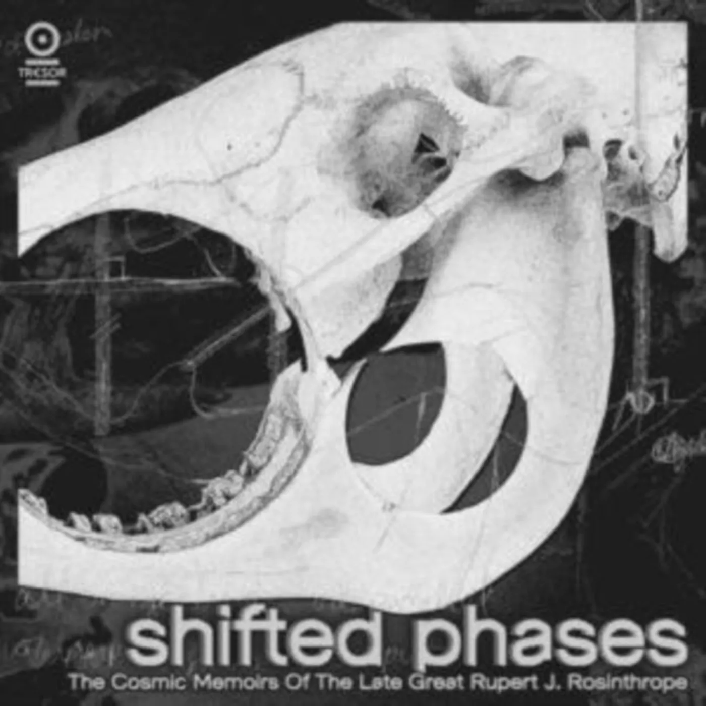 Shifted Phases LP - The Cosmic Memoirs Of The Late (Vinyl)
