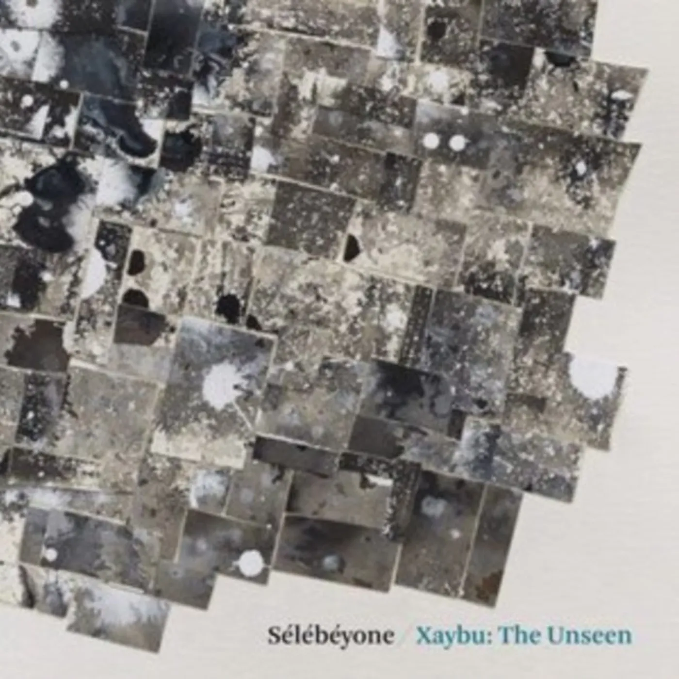 Steve Lehman & Selebeyone LP - Xaybu The Unseen (Vinyl)
