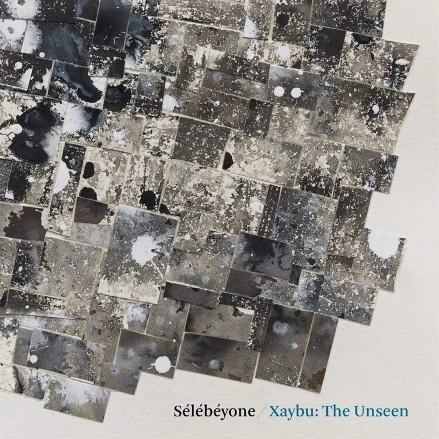 Steve Lehman & Selebeyone LP - Xaybu The Unseen (Vinyl)
