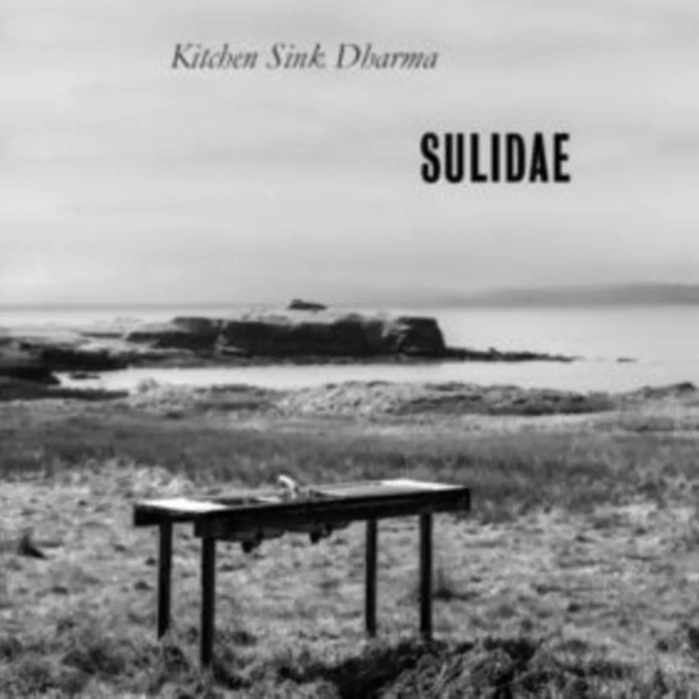 Sulidae LP - Kitchen Sink Dharma (Vinyl)