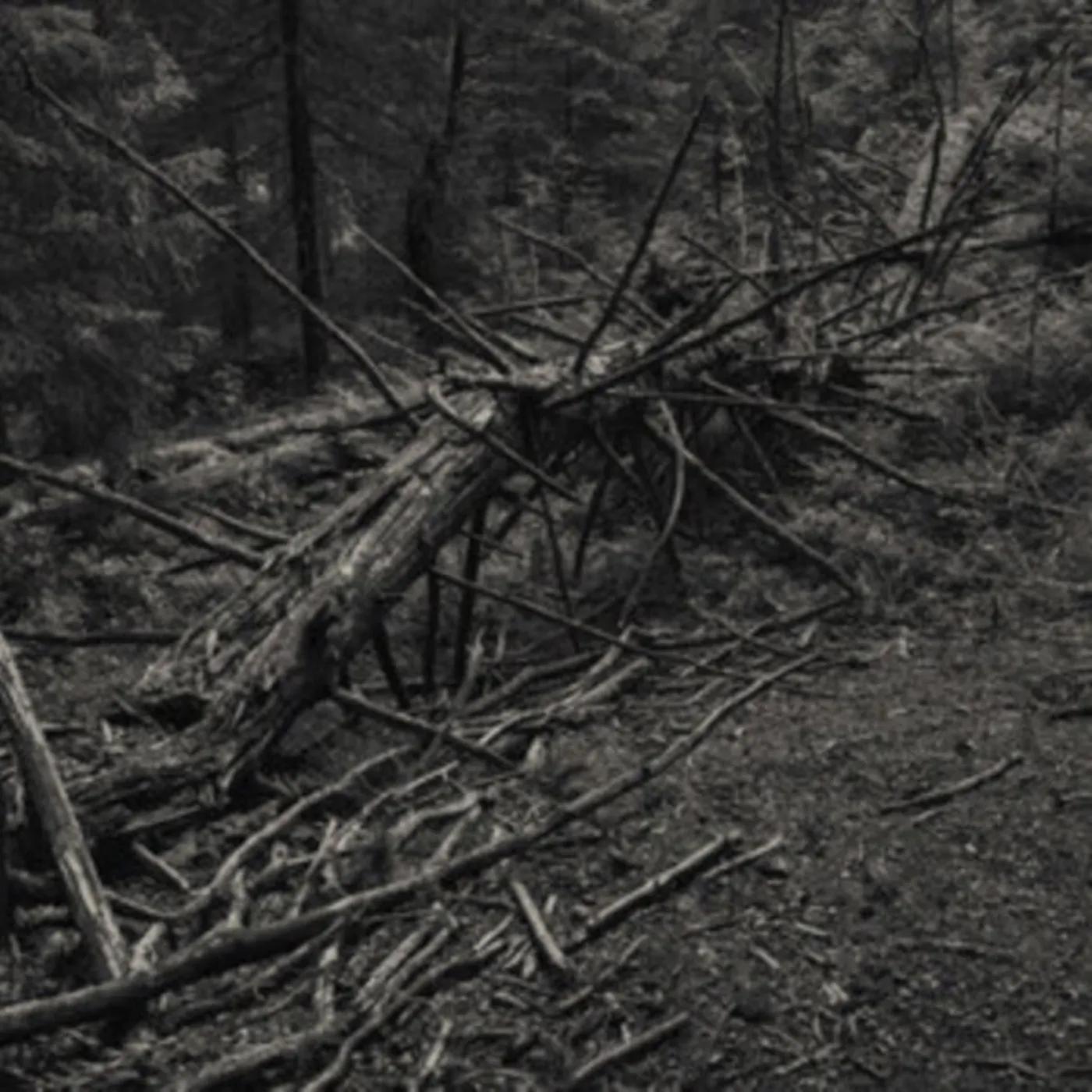 Sult LP - Always I Gnaw (Vinyl)