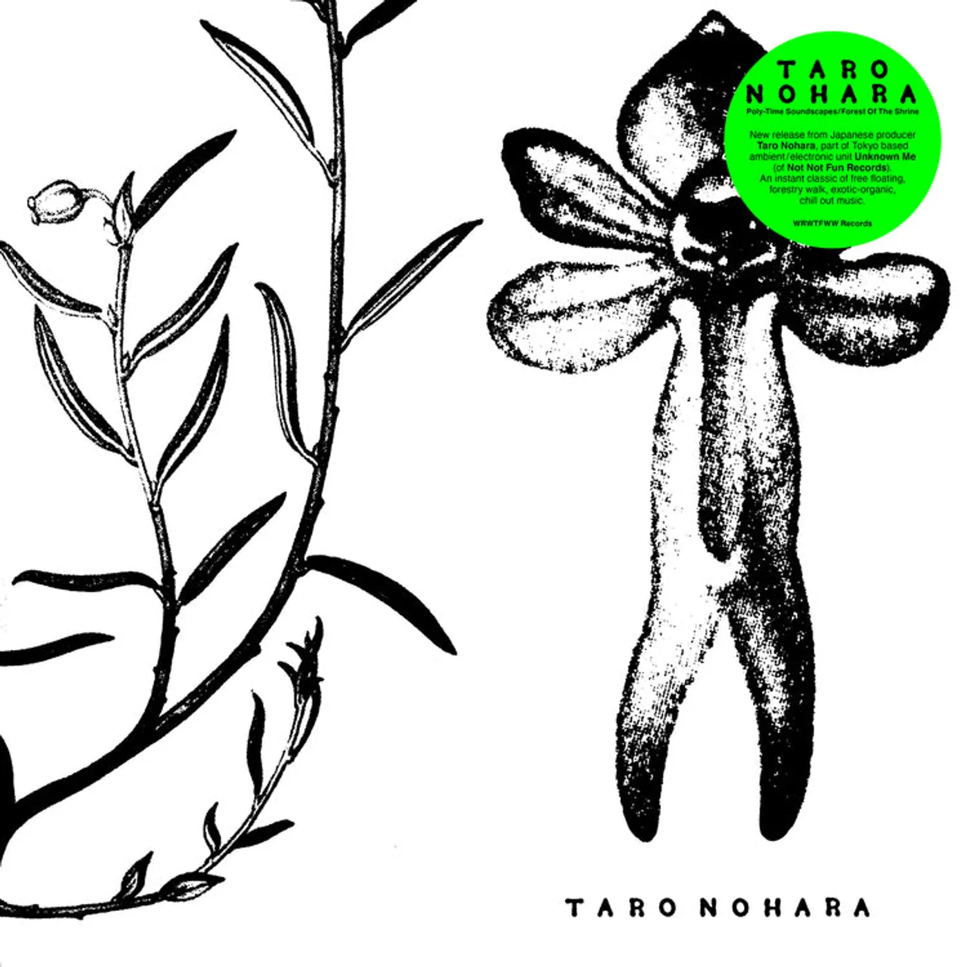Taro Nohara LP - Poly-Time Soundscapes / Forest (Vinyl)