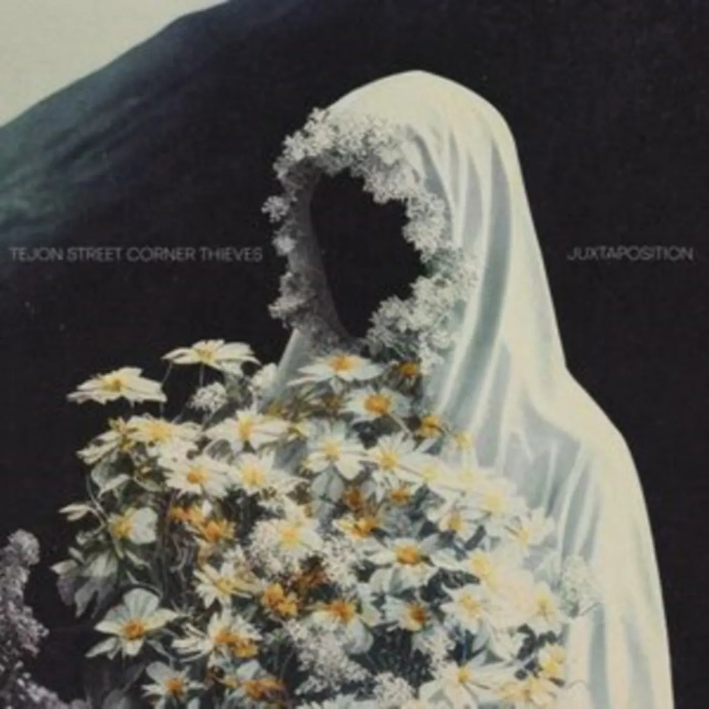 Tejon Street Corner Thieves LP - Juxtaposition (Vinyl)