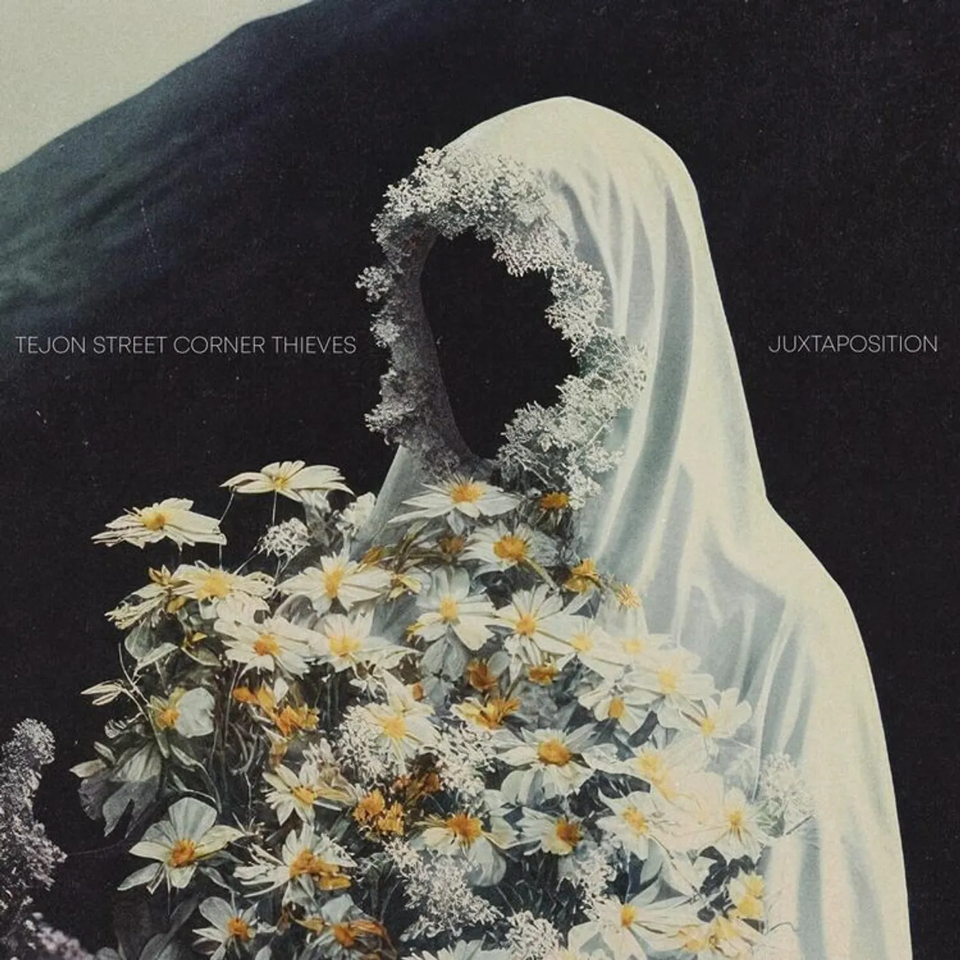 Tejon Street Corner Thieves LP - Juxtaposition (Vinyl)