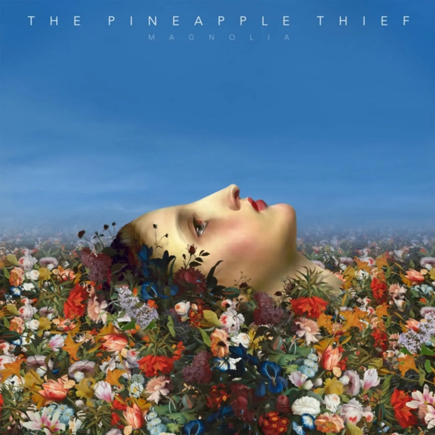 The Pineapple Thief LP - Magnolia (Vinyl)