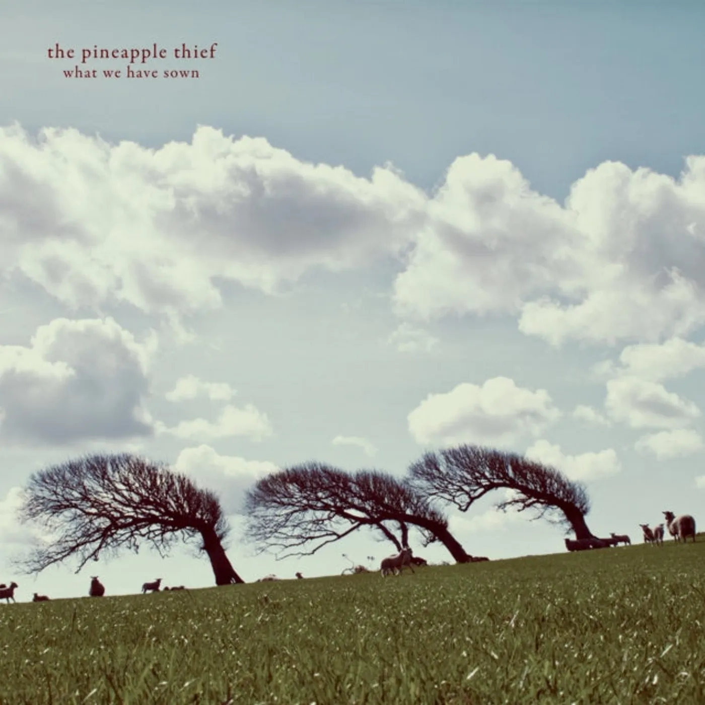 The Pineapple Thief LP - What We Have Sown (Vinyl)