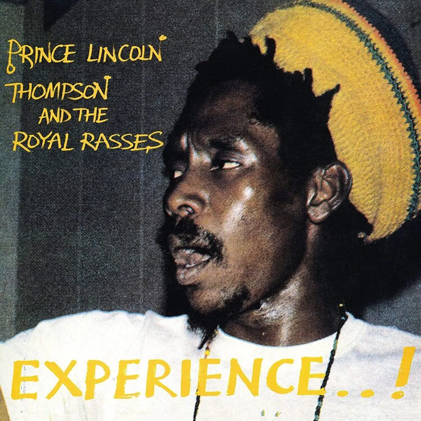 Prince Lincoln & The Royal Rasses LP - Experience (Vinyl)