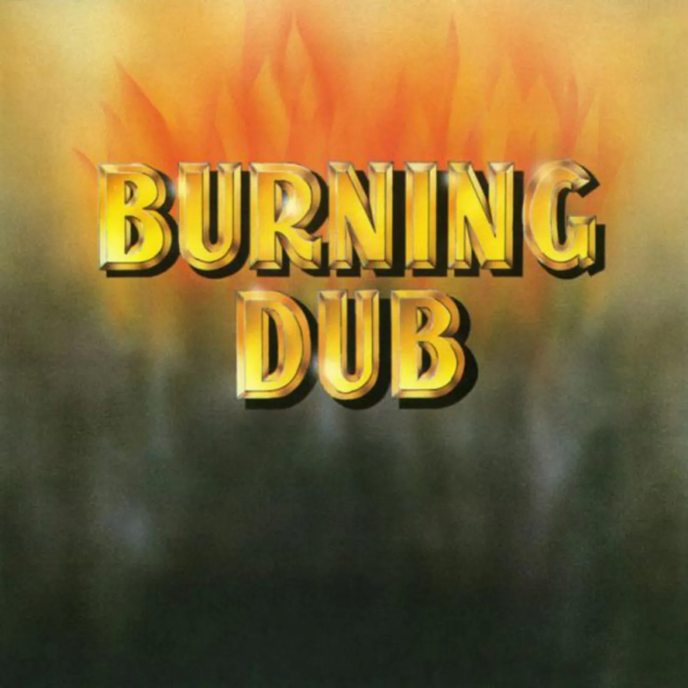 The Revolutionaries LP - Burning Dub (Vinyl)