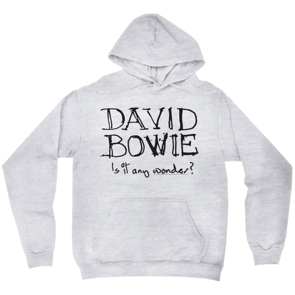 Hoodie | Is It Any Wonder? Script Logo Hoodie