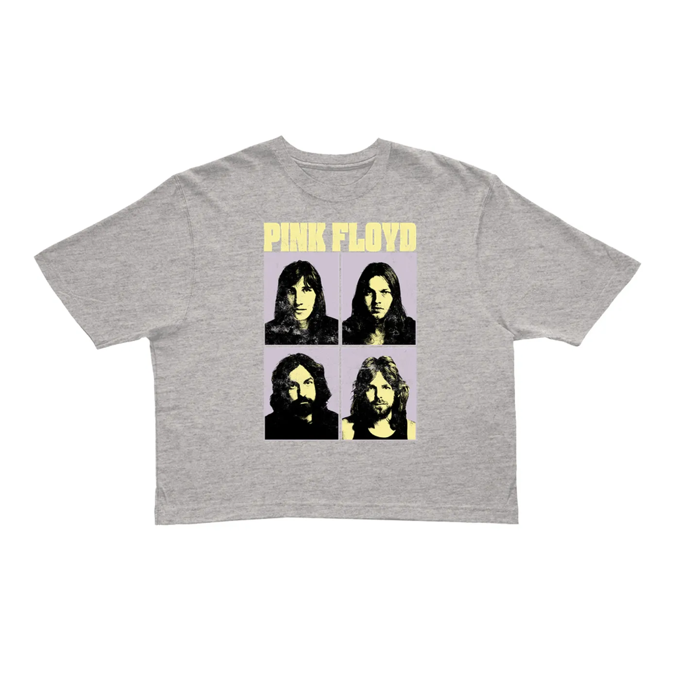 Pink Floyd Ladies' Crop Tee | Meddle Group Photo Pastel Image Distressed (Merchbar Exclusive) Pink Floyd Crop T-shirt