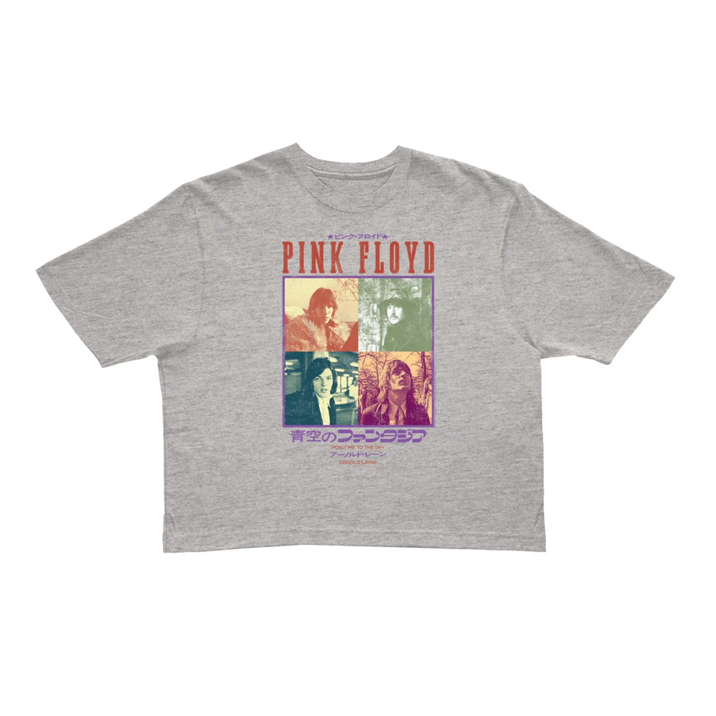 Pink Floyd Ladies' Crop Tee | Point Me To The Sky Asia Distressed (Merchbar Exclusive) Pink Floyd Crop T-shirt