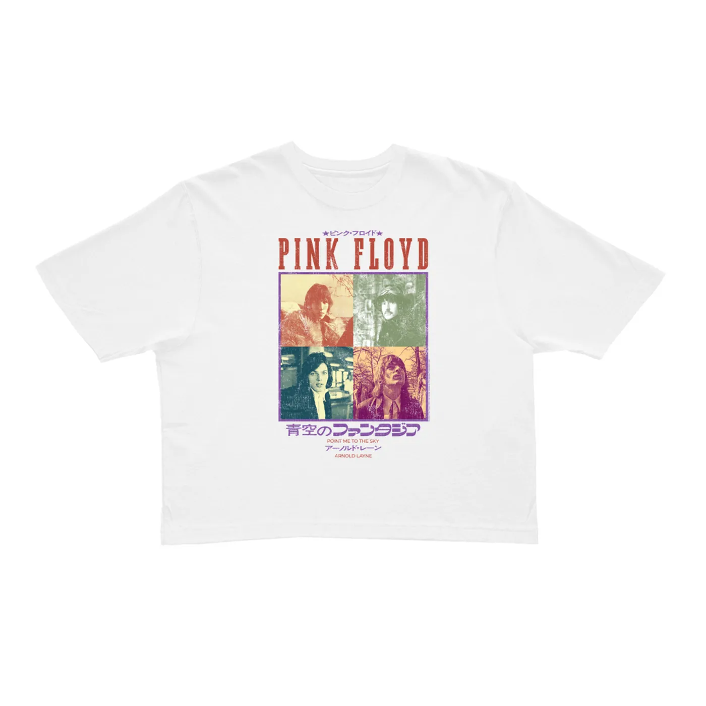 Pink Floyd Ladies' Crop Tee | Point Me To The Sky Asia Distressed (Merchbar Exclusive) Pink Floyd Crop T-shirt
