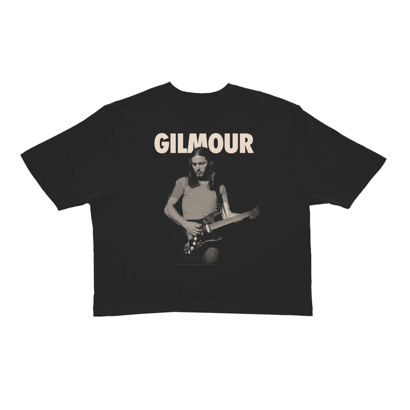 David Gilmour Ladies' Crop Tee | Young David Gilmour and Bold Logo David Gilmour Crop T-shirt