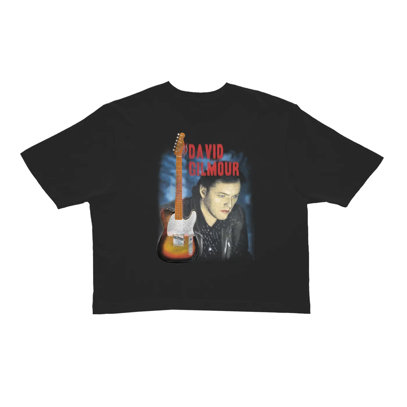 David Gilmour Ladies' Crop Tee | Color Tone About Face Image David Gilmour Crop T-shirt