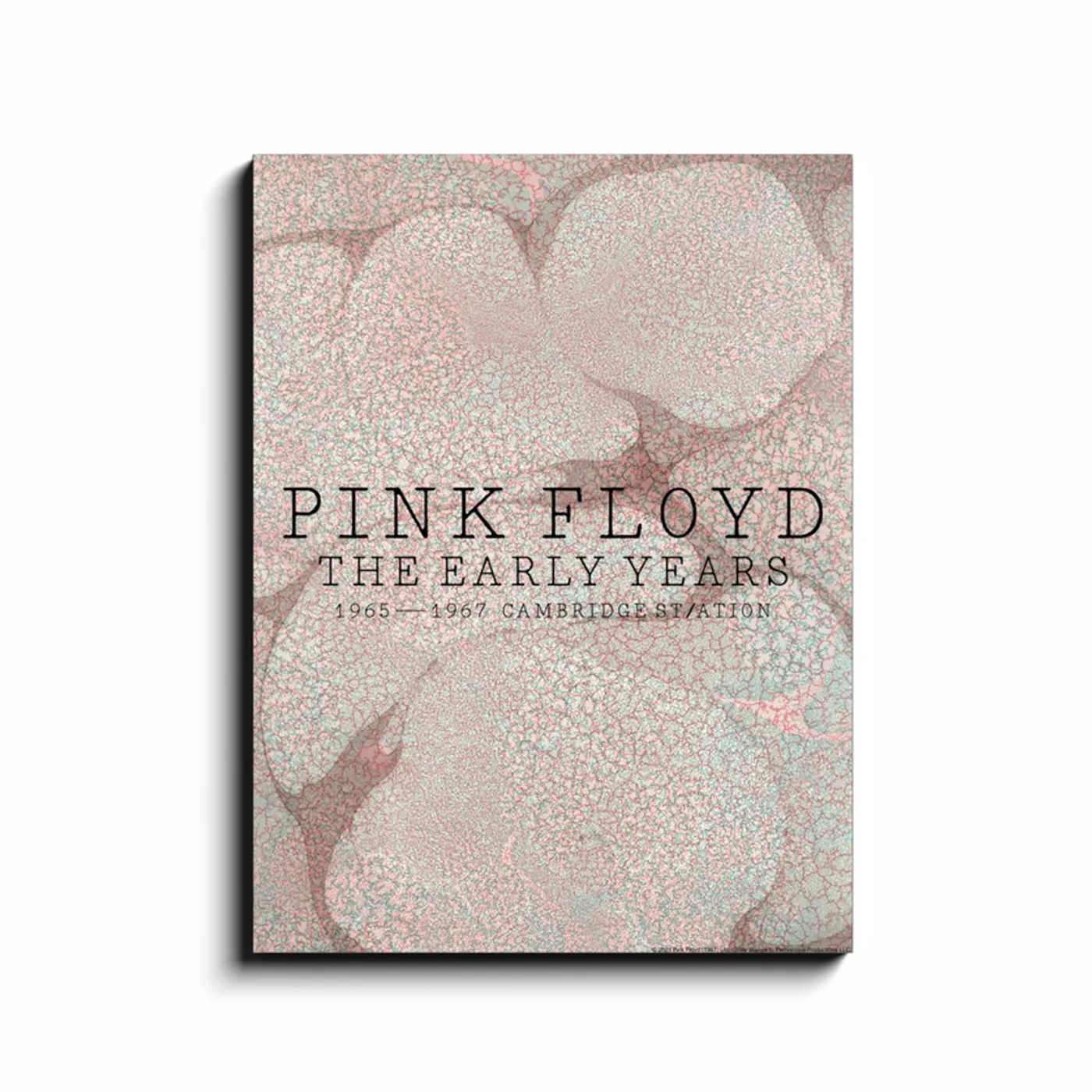 Pink Floyd Wall Art | Cambridge Station Pink Floyd Canvas Wrap
