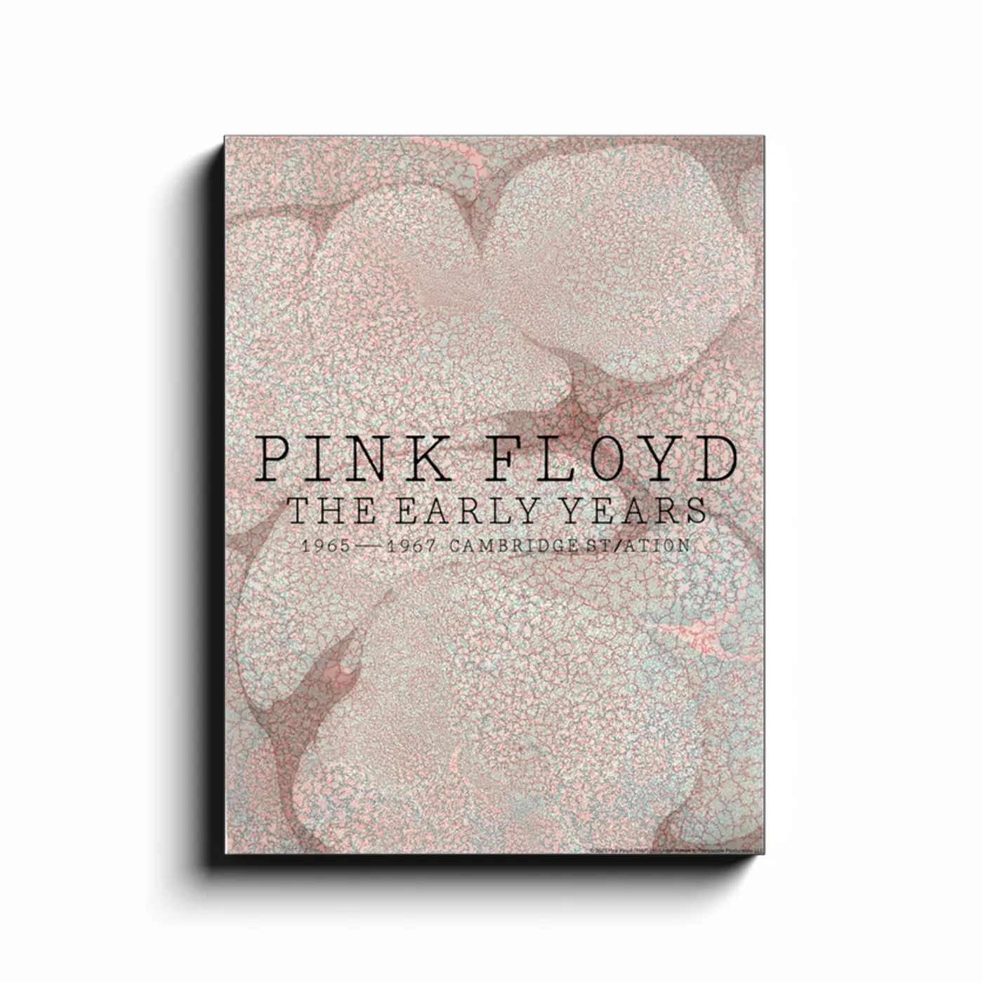 Pink Floyd Wall Art | Cambridge Station Pink Floyd Canvas Wrap