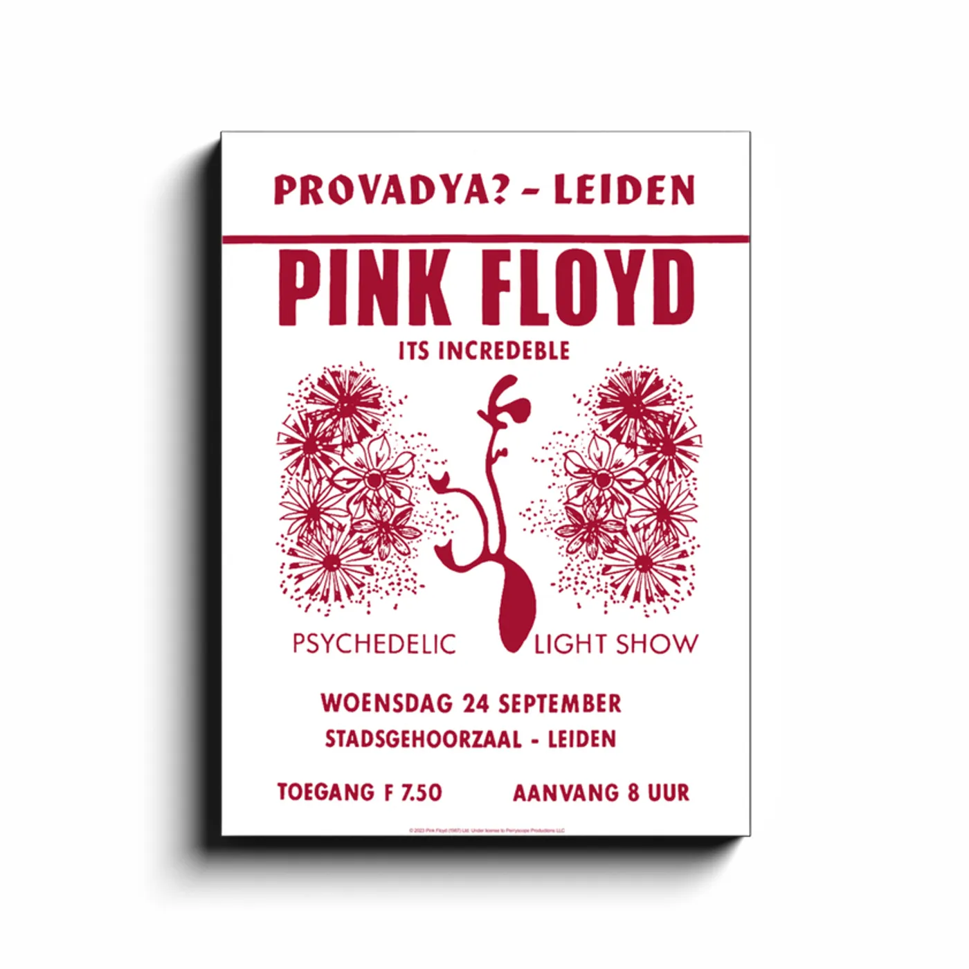 Pink Floyd Wall Art | 1969 Provadya Leiden Concert Pink Floyd Canvas Wrap