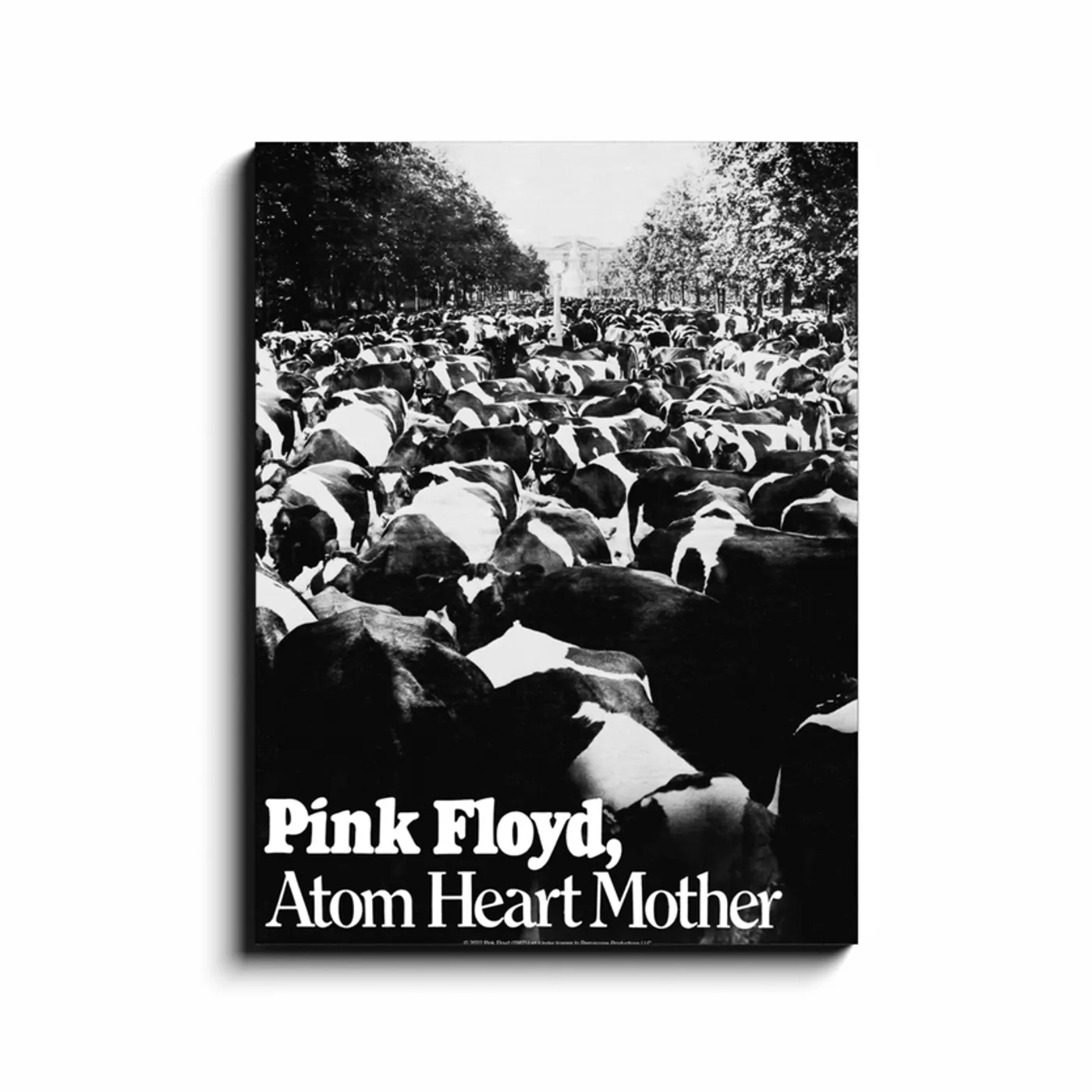 Pink Floyd Wall Art | Atom Heart Mother Pink Floyd Canvas Wrap