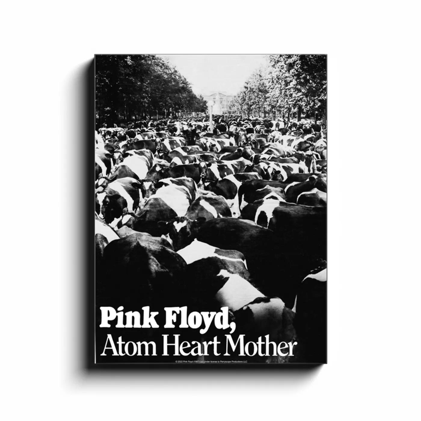 Pink Floyd Wall Art | Atom Heart Mother Pink Floyd Canvas Wrap