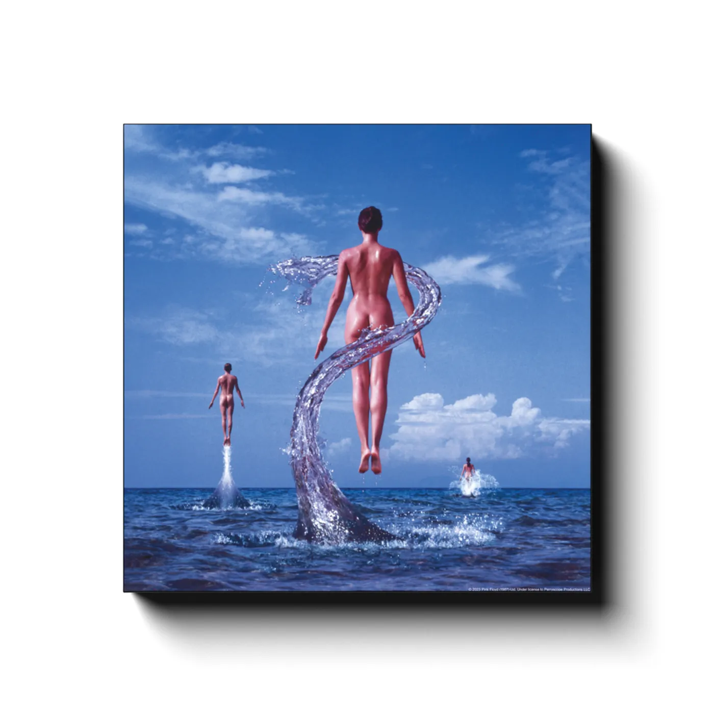 Pink Floyd Wall Art | Bare Swimmers Pink Floyd Canvas Wrap