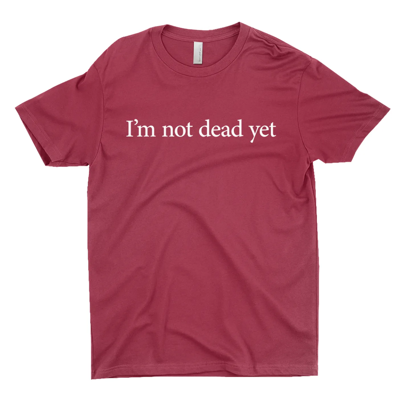 Guns N' Roses T-Shirt | I'm Not Dead Yet Worn By Slash Guns N' Roses Shirt