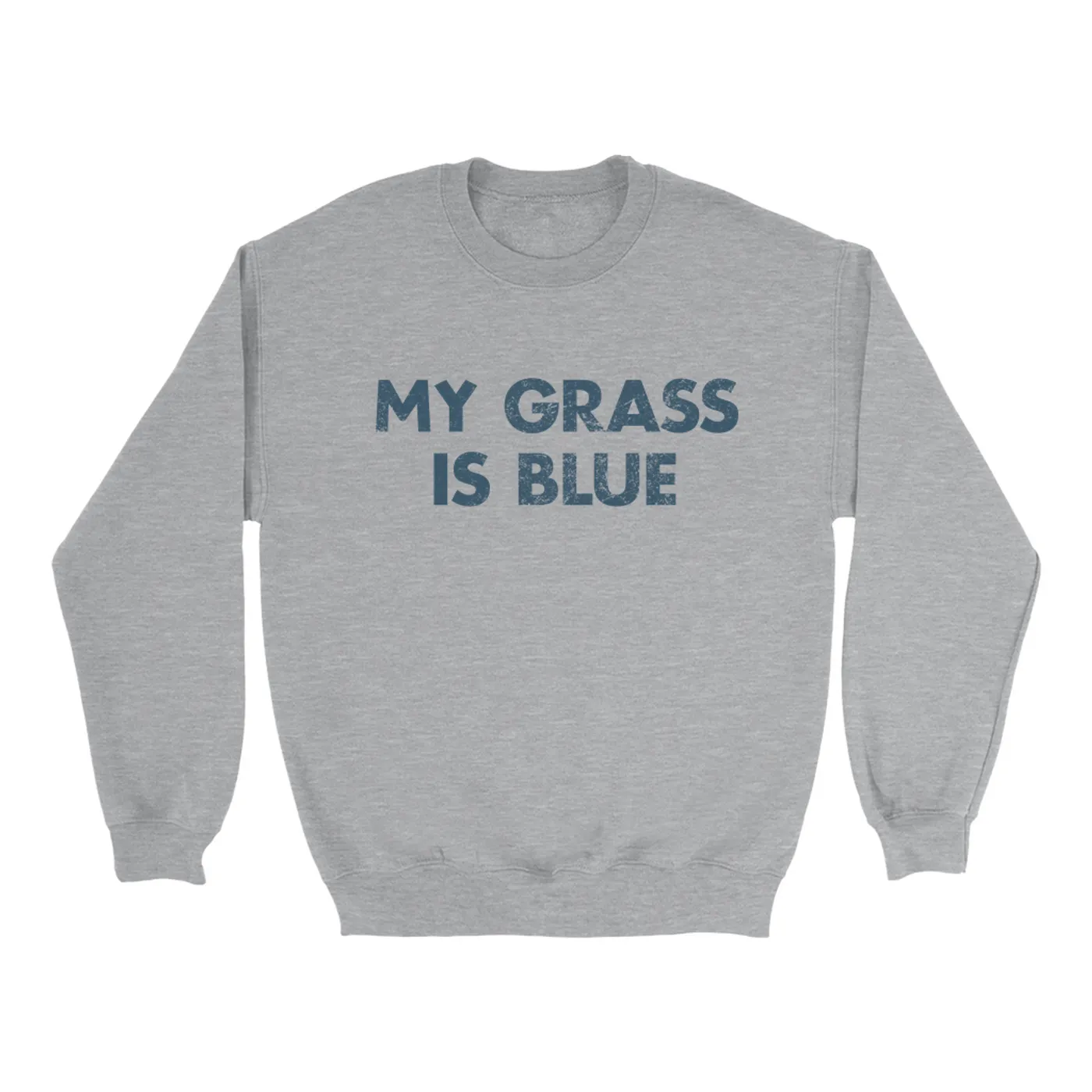 Lynyrd Skynyrd Sweatshirt | My Grass Is Blue Worn By Leon Wilkeson Lynyrd Skynyrd Sweatshirt
