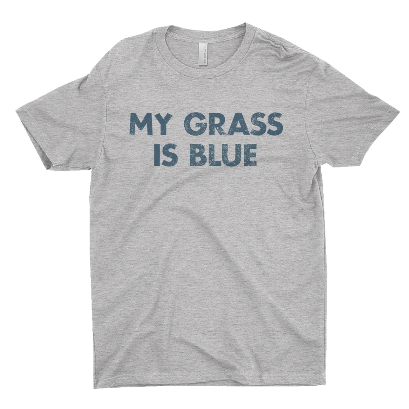Lynyrd Skynyrd T-Shirt | My Grass Is Blue Worn By Leon Wilkeson Lynyrd Skynyrd Shirt