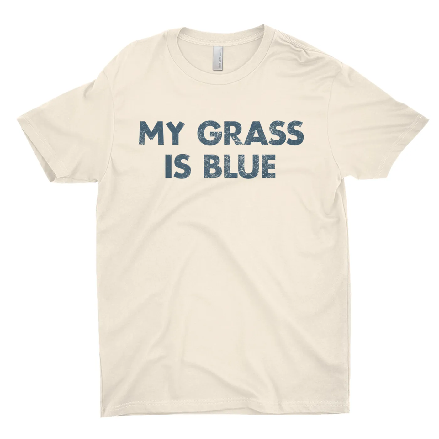 Lynyrd Skynyrd T-Shirt | My Grass Is Blue Worn By Leon Wilkeson Lynyrd Skynyrd Shirt