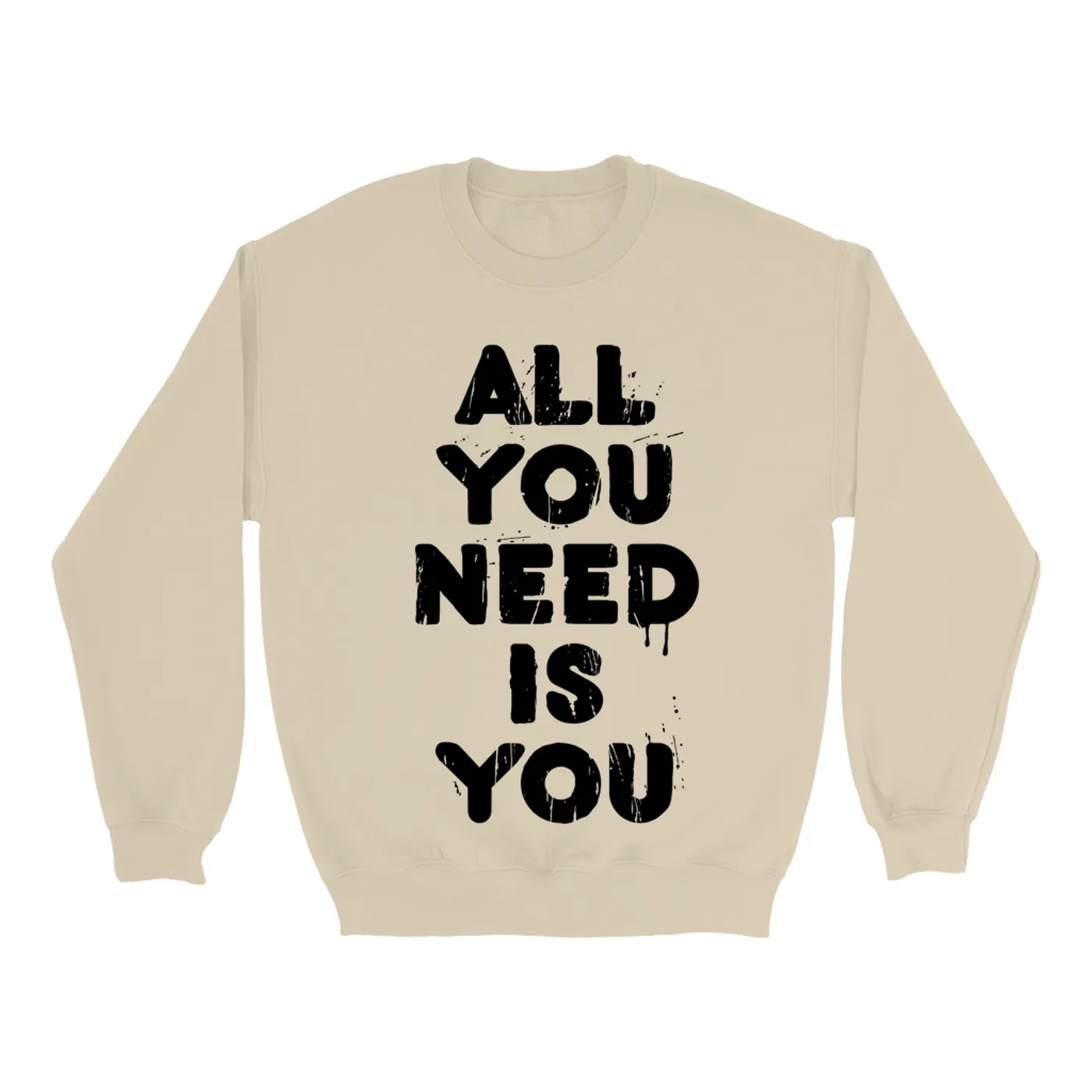 Aerosmith Sweatshirt | All You Need Is You Worn By Steven Tyler Aerosmith Sweatshirt