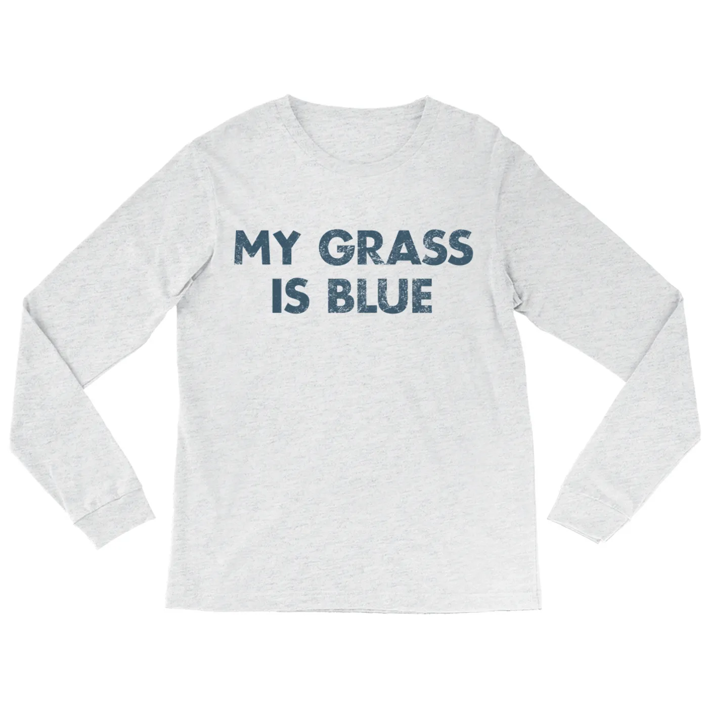Lynyrd Skynyrd Long Sleeve Shirt | My Grass Is Blue Worn By Leon Wilkeson Lynyrd Skynyrd Shirt