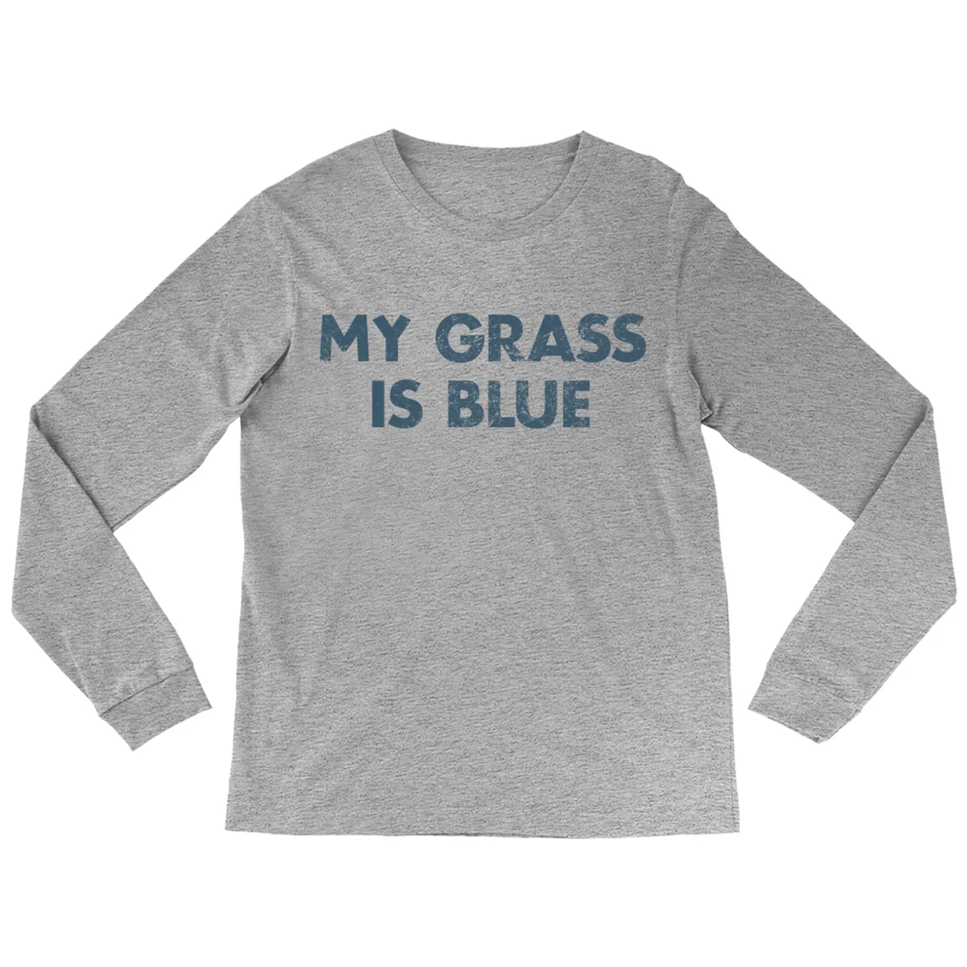 Lynyrd Skynyrd Long Sleeve Shirt | My Grass Is Blue Worn By Leon Wilkeson Lynyrd Skynyrd Shirt