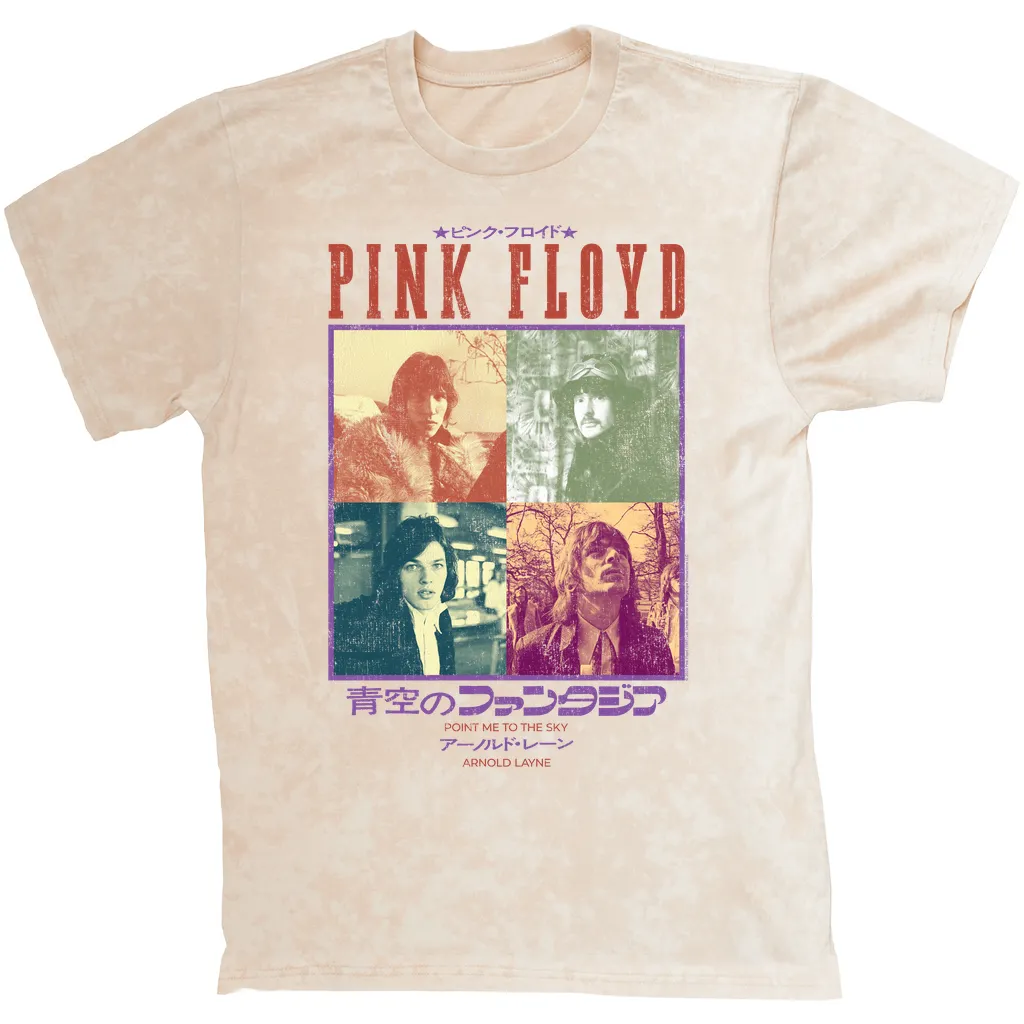 T-shirt | Point Me To The Sky Asia Distressed (Equineop Exclusive) Mineral Wash Shirt