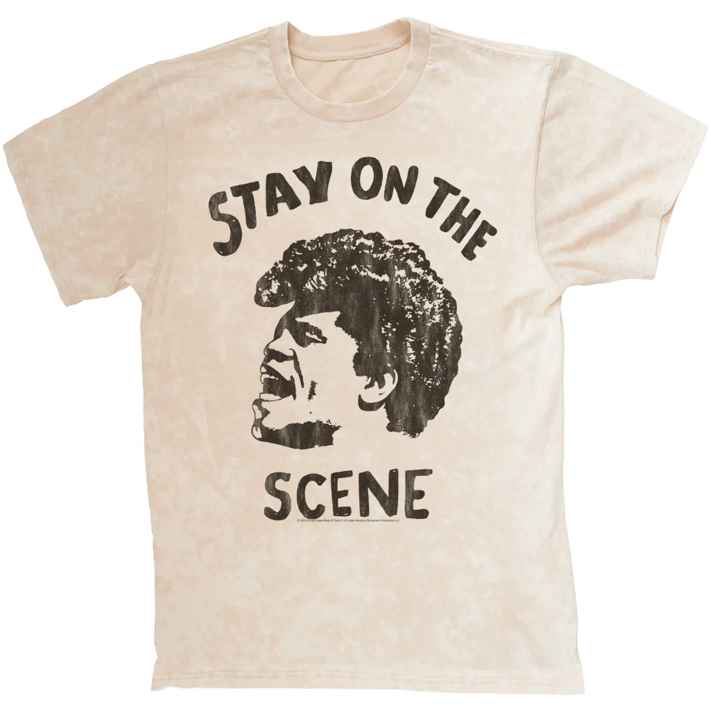 James Brown T-shirt | Stay On The Scene Sketch James Brown Mineral Wash Shirt
