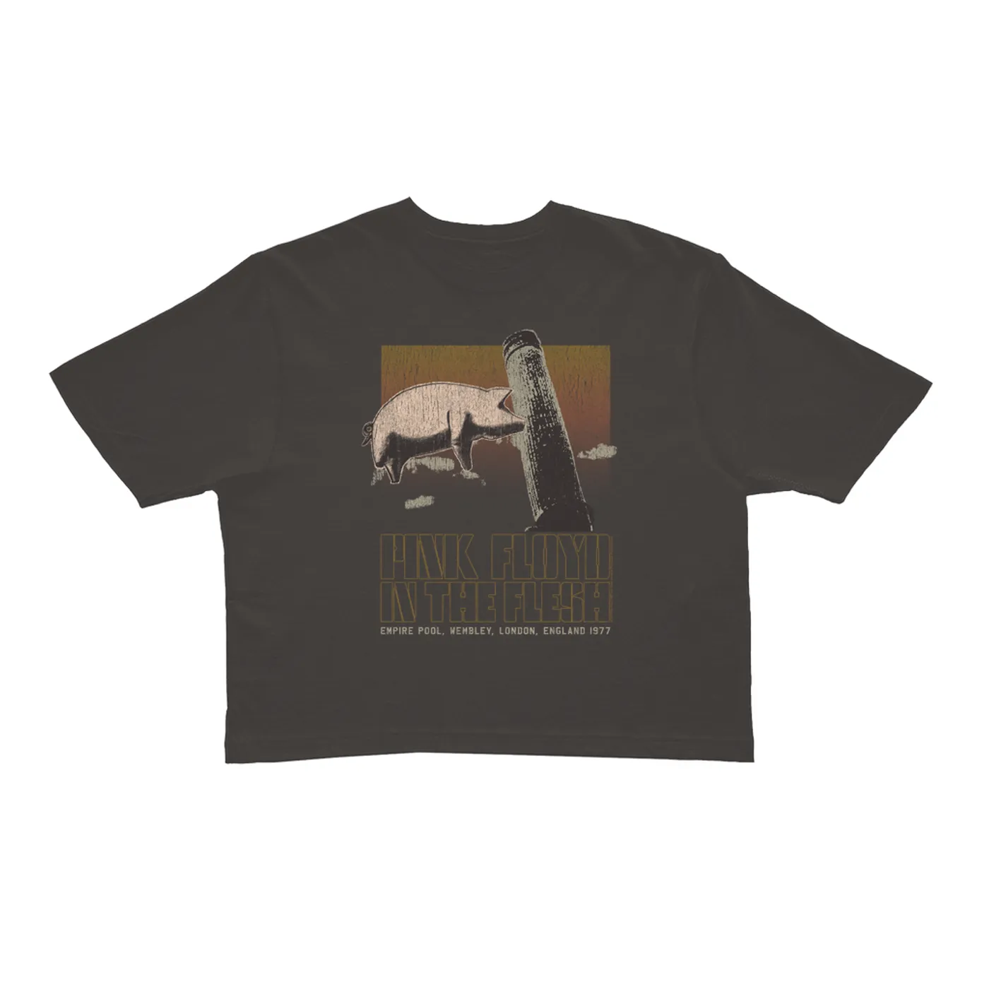 Pink Floyd Ladies' Crop Tee | In The Flesh London England 1977 Distressed Pink Floyd Crop T-shirt