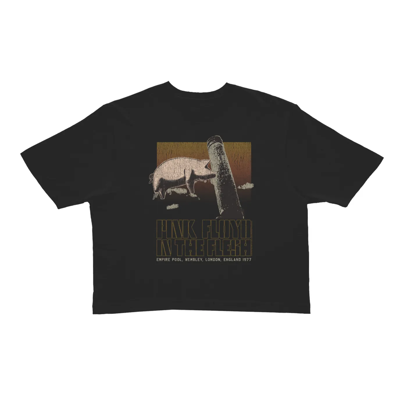Pink Floyd Ladies' Crop Tee | In The Flesh London England 1977 Distressed Pink Floyd Crop T-shirt