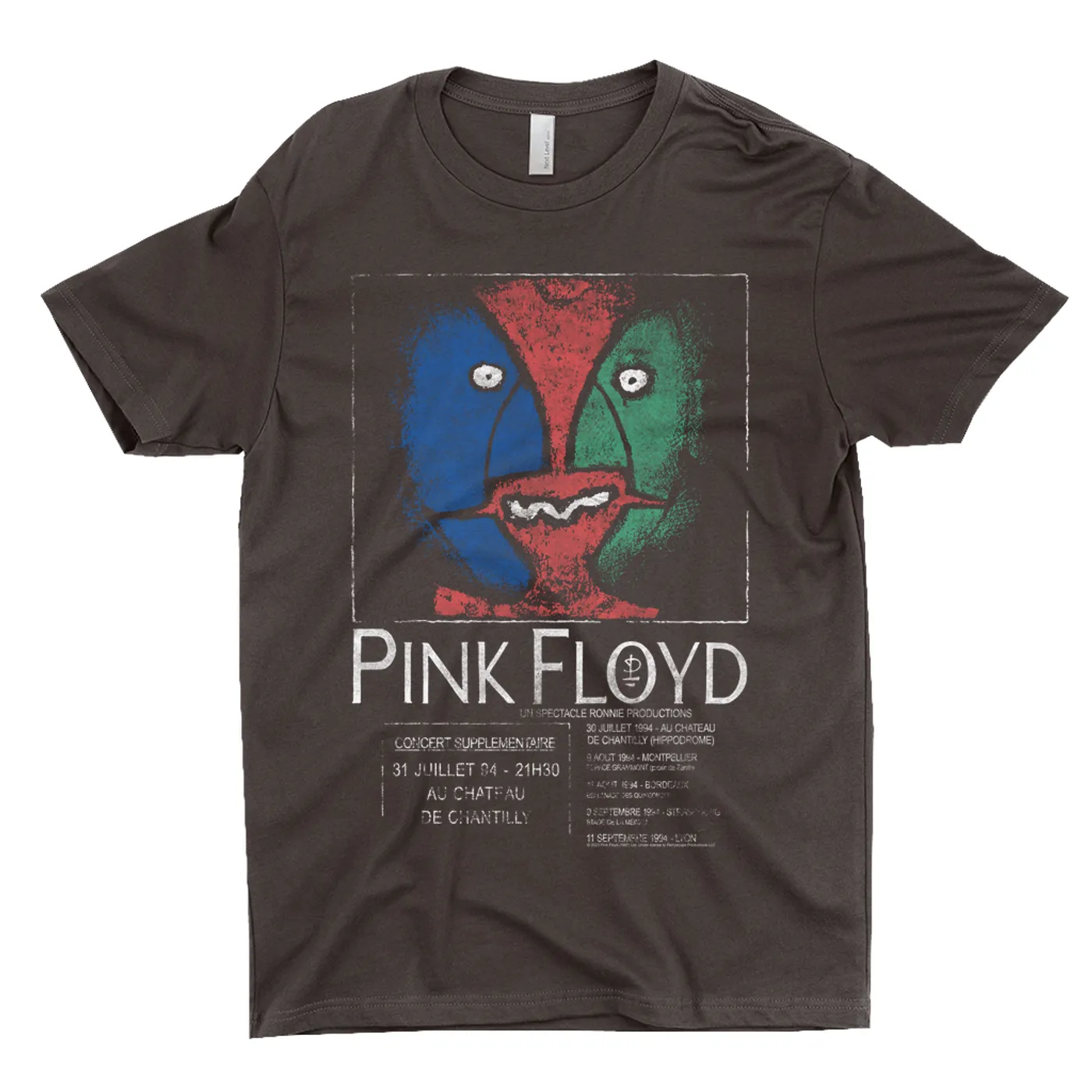 Pink Floyd T-Shirt | Division Bell France Concert Distressed Pink Floyd Shirt