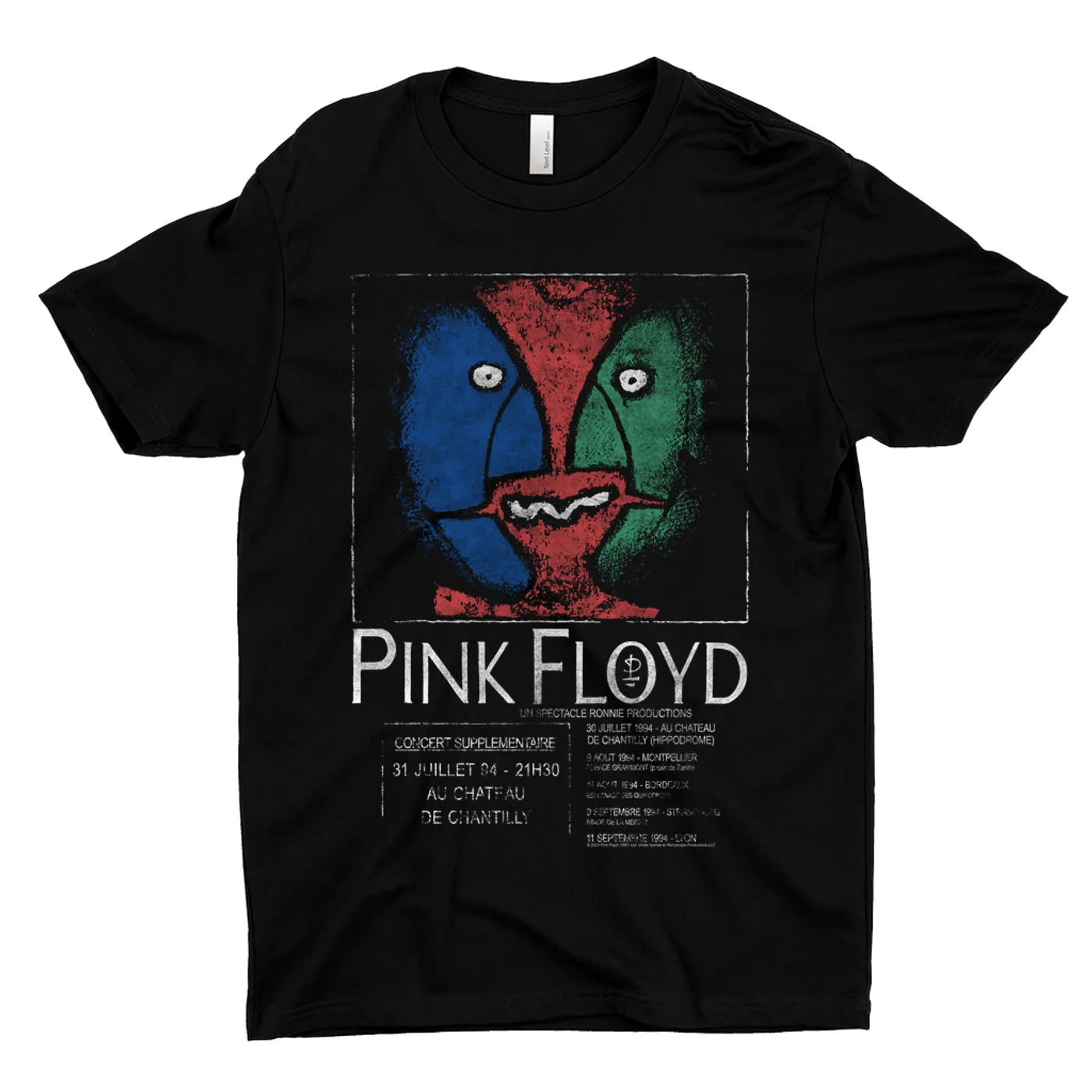 Pink Floyd T-Shirt | Division Bell France Concert Distressed Pink Floyd Shirt