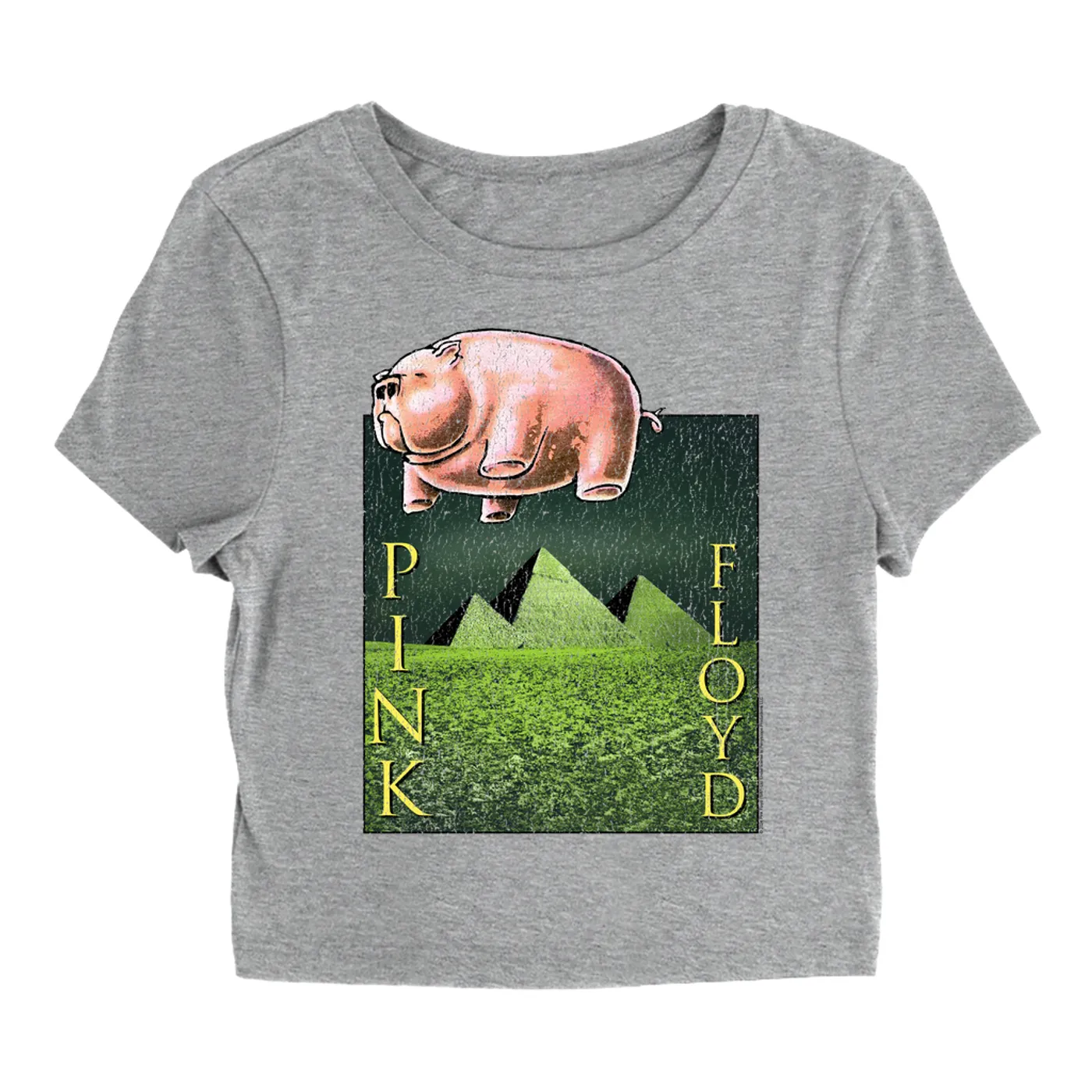 Pink Floyd Women's T-Shirt | Animals Meets The Pyramids Distressed Pink Floyd Baby Tee