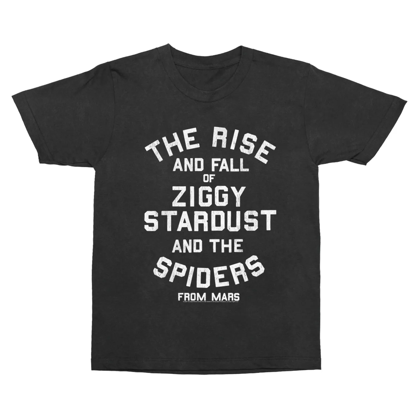 David Bowie T-Shirt | The Rise And Fall Of Ziggy Stardust (Merchbar Exclusive) David Bowie Vintage Shirt