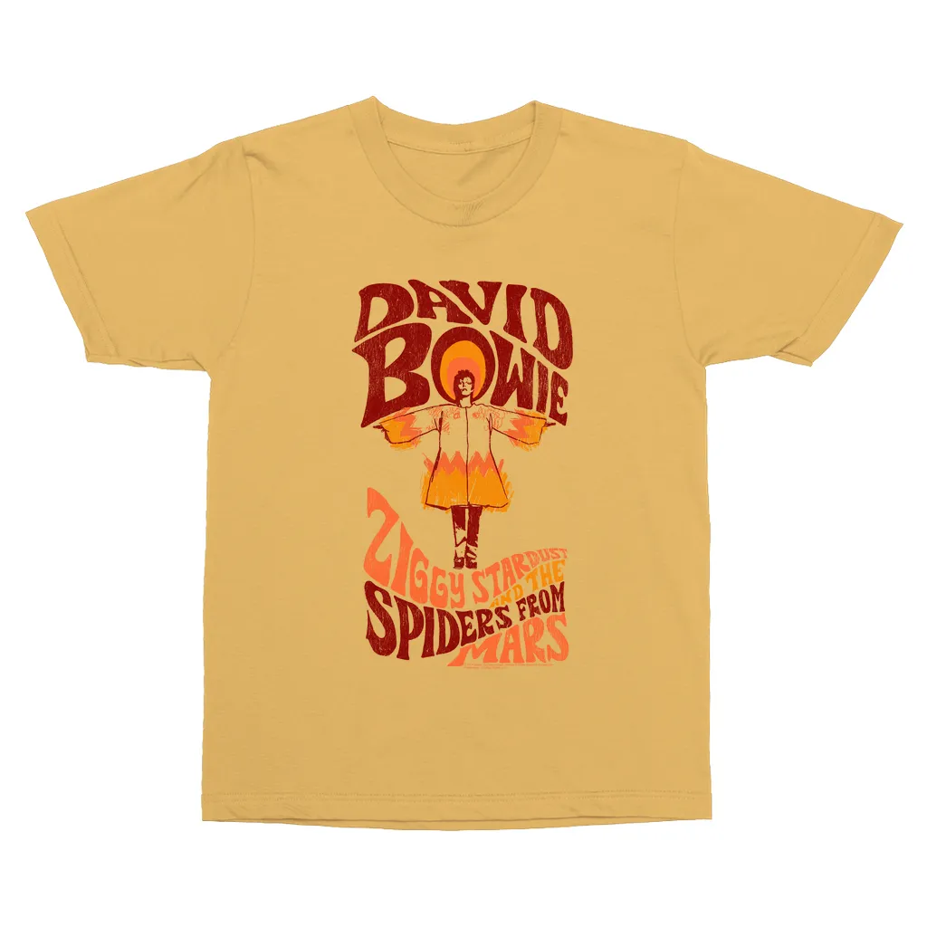 T-Shirt | Retro Orange Ziggy Stardust And The Spiders From Mars Distressed (Equineop Exclusive) Vintage Shirt