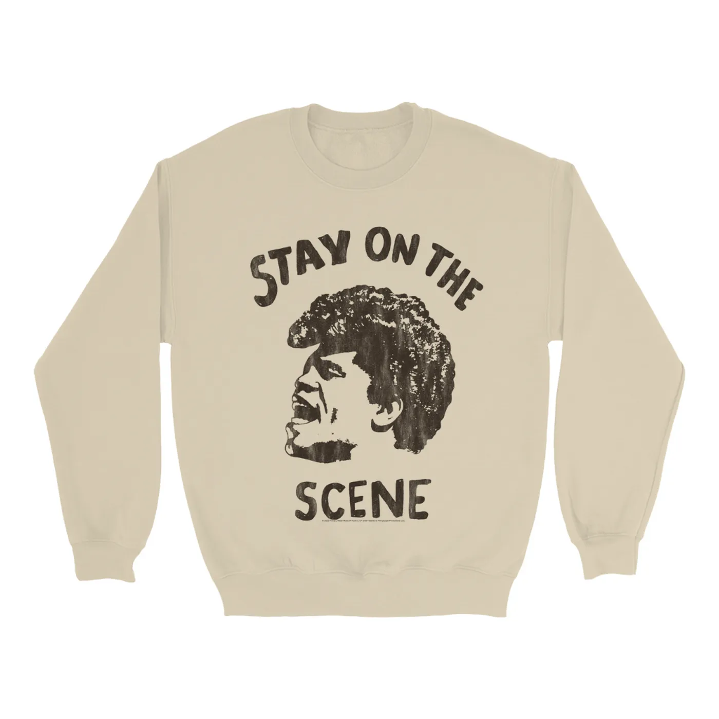 James Brown Sweatshirt | Stay On The Scene Sketch James Brown Sweatshirt