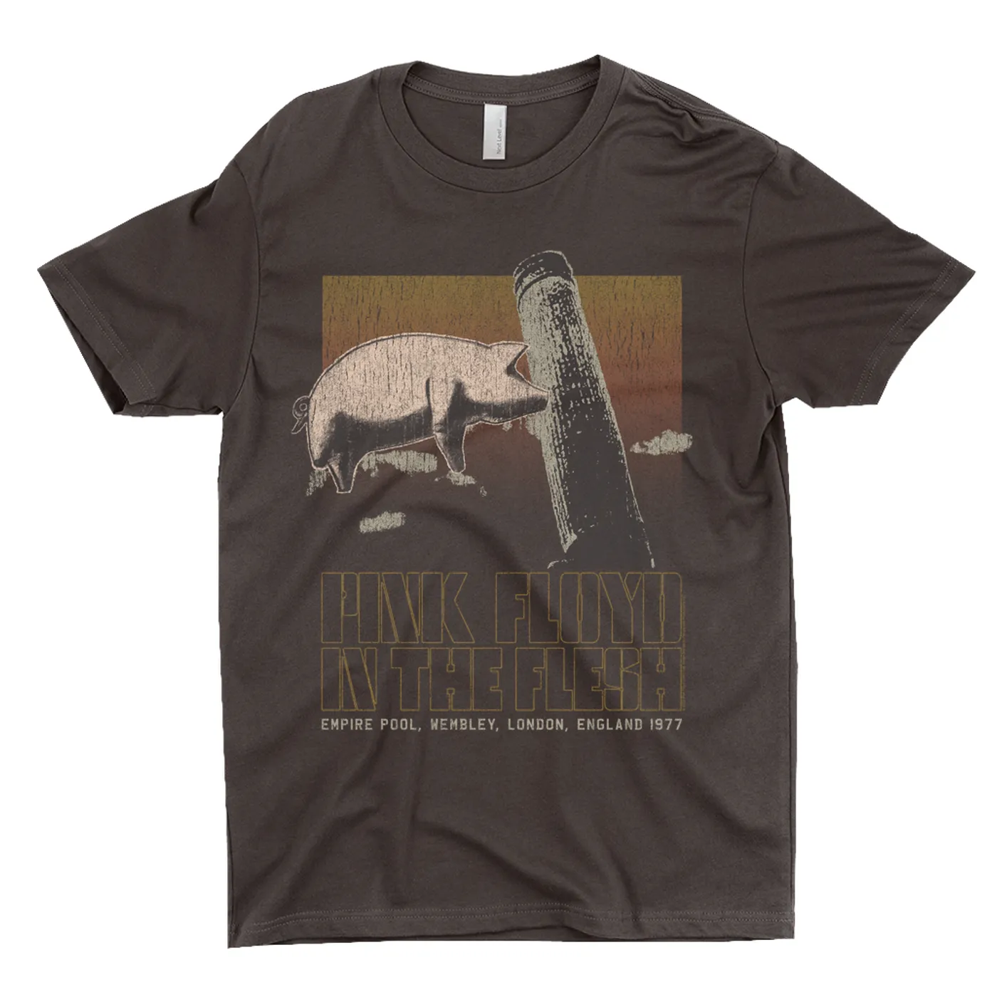Pink Floyd T-Shirt | In The Flesh London England 1977 Distressed Pink Floyd Shirt