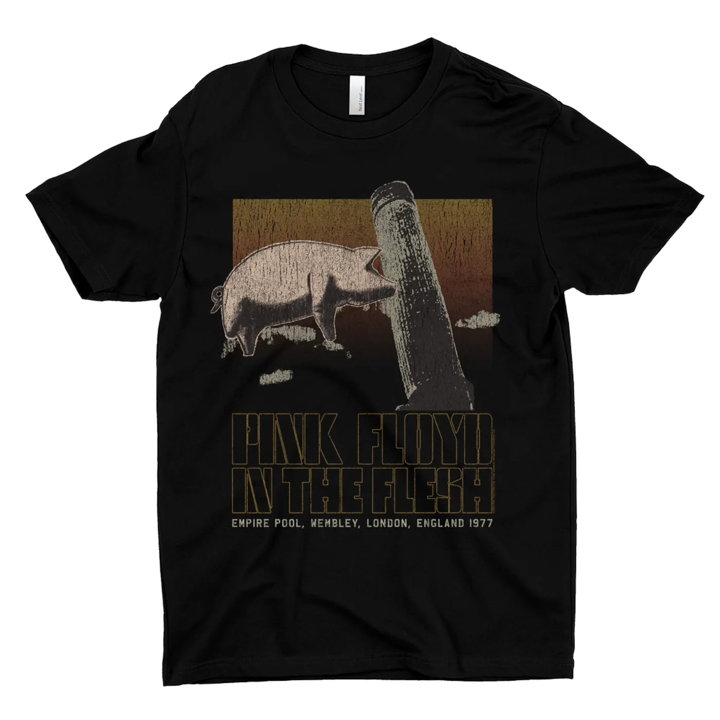 Pink Floyd T-Shirt | In The Flesh London England 1977 Distressed Pink Floyd Shirt