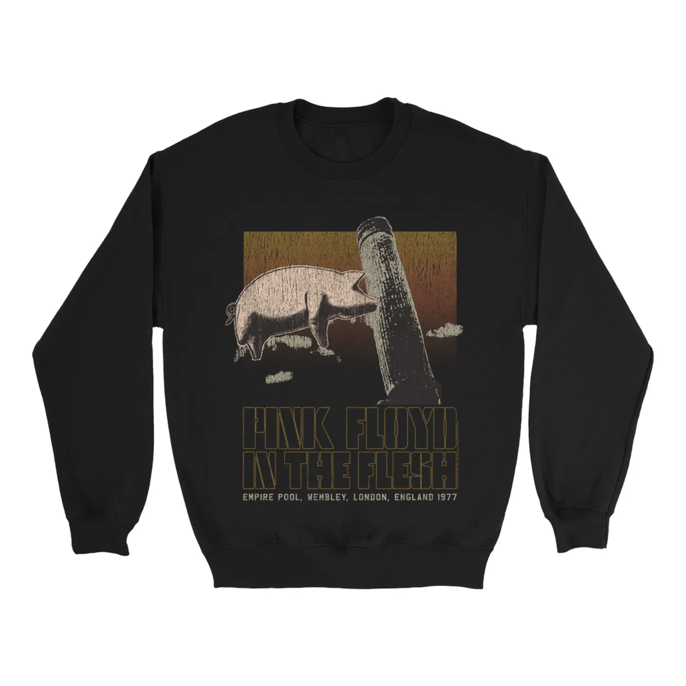 Pink Floyd Sweatshirt | In The Flesh London England 1977 Distressed Pink Floyd Sweatshirt