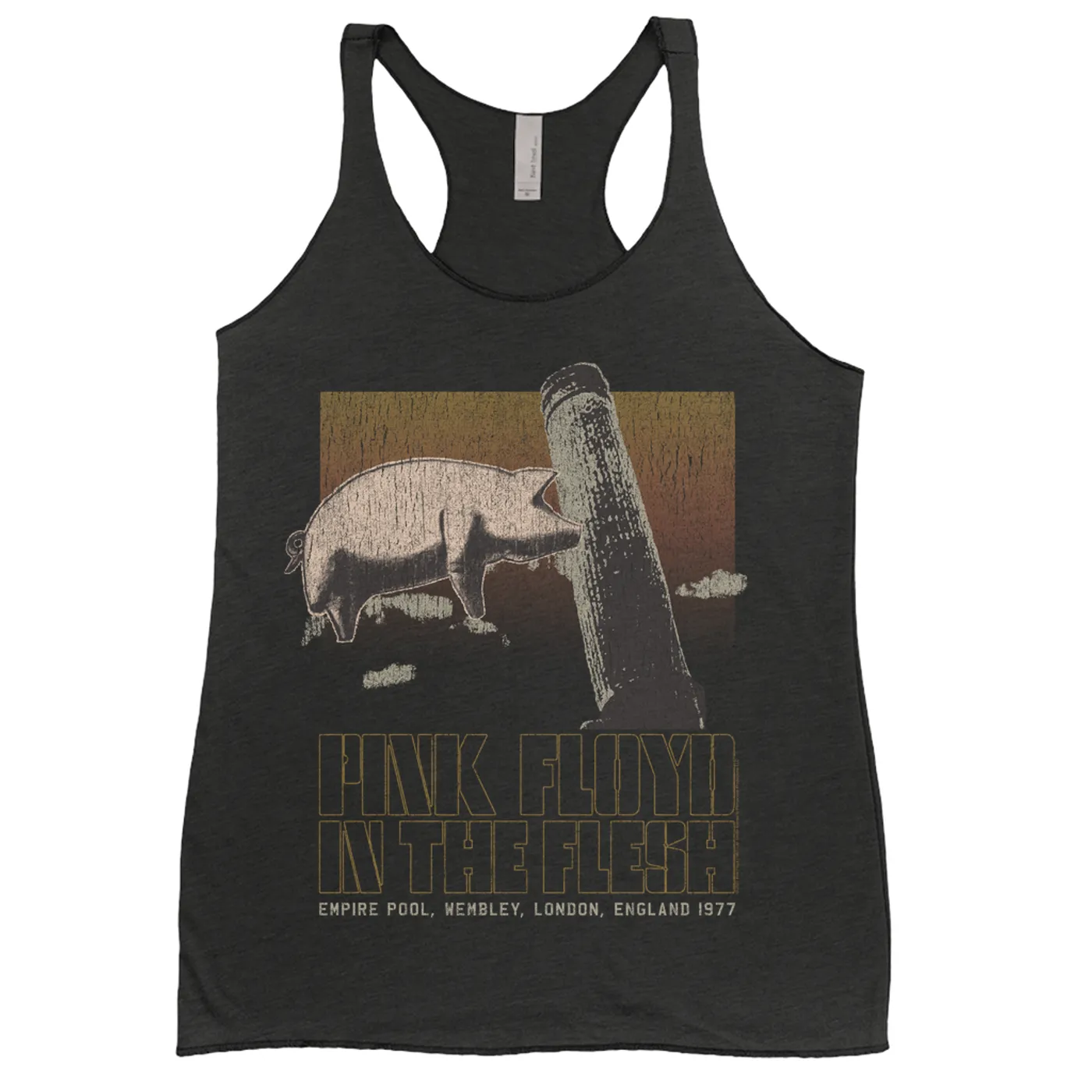 Pink Floyd Ladies' Tank Top | In The Flesh London England 1977 Distressed Pink Floyd Shirt