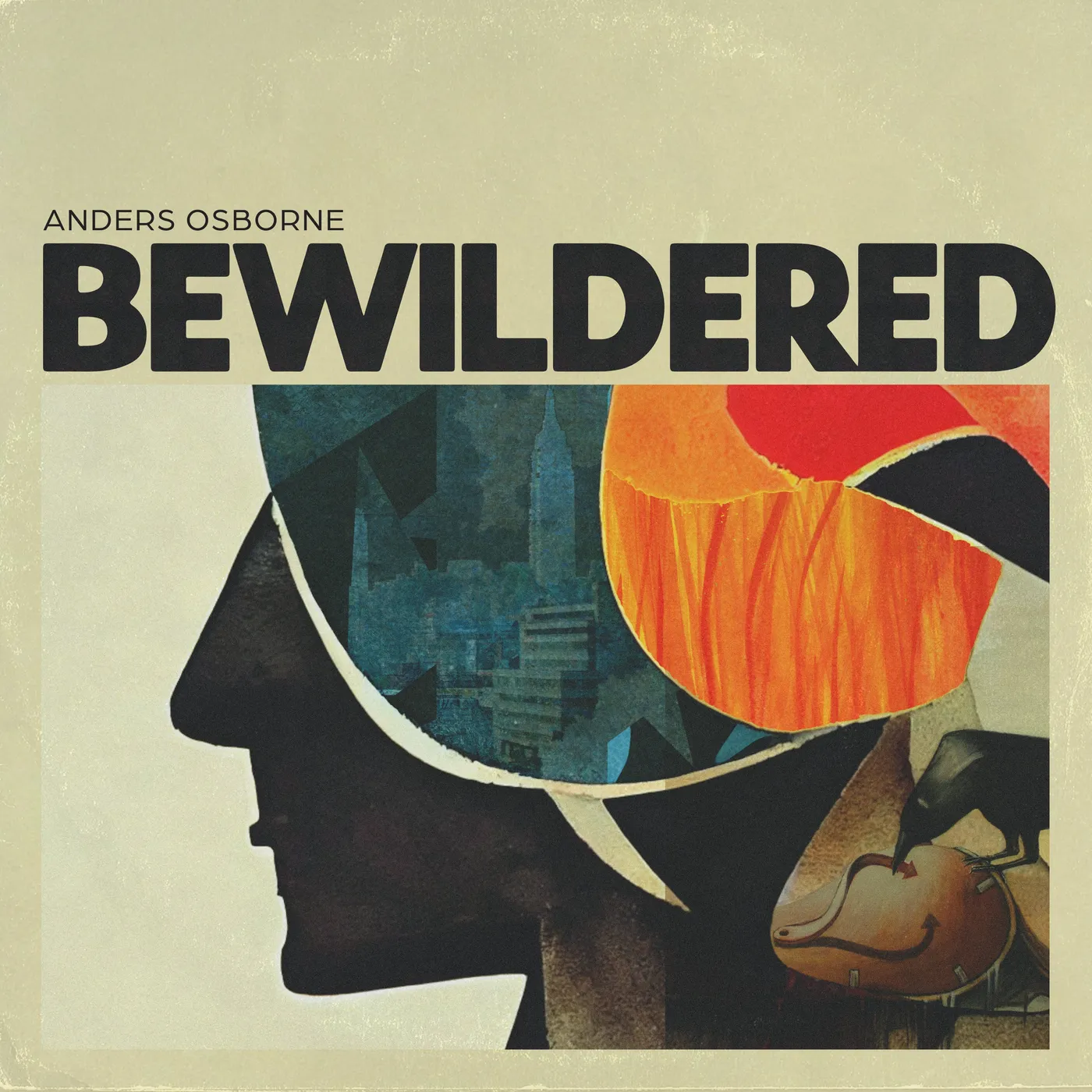Anders Osborne Bewildered