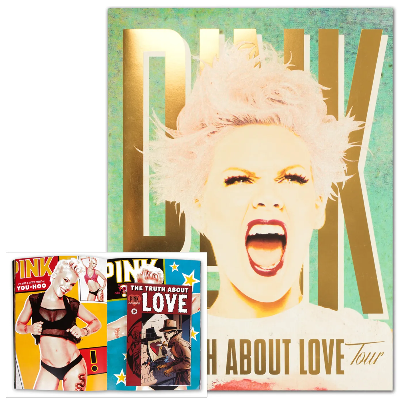 P!nk Truth 2013 Tour Program